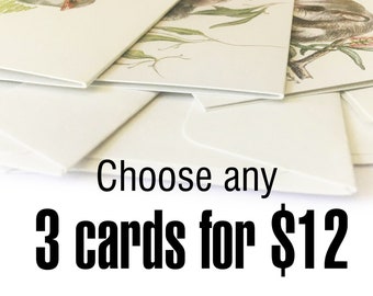 3 tarjetas de felicitación con ilustraciones de vida silvestre australiana, retratos de la naturaleza y lápices de colores.