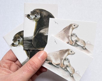 Tarjetas de regalo mini de león marino australiano: cartulina reciclada, juego de 4