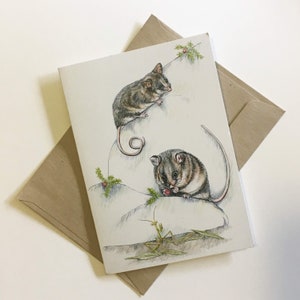 Gambá pigmeu da montanha - cartão de felicitações de arte da vida selvagem australiana, par de pequenos animais mamíferos fofos, frutas vermelhas, rochas alpinas, pelo cinza marrom rosa