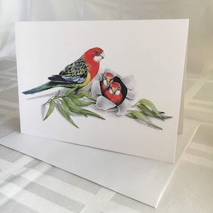 Eastern Rosellas - Australische wenskaart voor wilde dieren. Heldere kleurrijke inheemse Australische vogels babykuikens gombladeren, trompe-l-oeil