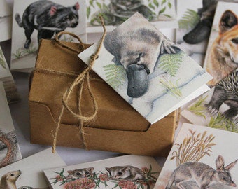 Tarjetas de regalo de mamíferos australianos: Juego de 12 tarjetas recicladas