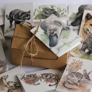 Mini Gift Cards - caixa com 12 - MAMÍFEROS australianos - animais selvagens - cartão reciclado - interior em branco