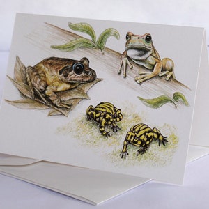 Grenouilles en voie de disparition - Carte de voeux d'art animalier australien, rayures noires et jaunes, corroboree, rainette, jaune, or, vert, oeil bleu,