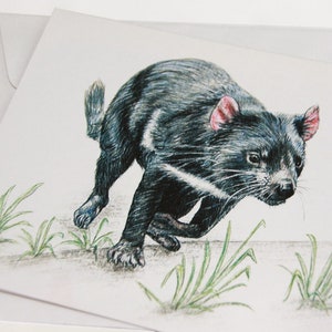 Tasmanian Devil greeting card Australian wildlife art, unique mammal, apex animal, looks ferocious, grass and ladybug, threatened