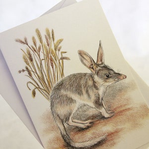 Bilby wenskaart portret Australische dieren in het wild schattig dier woestijn bandicoot bedreigde diersoorten potloodtekening