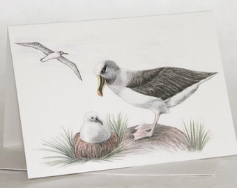 Tarjeta de felicitación con diseño de albatros: fauna australiana, tarjeta reciclada.