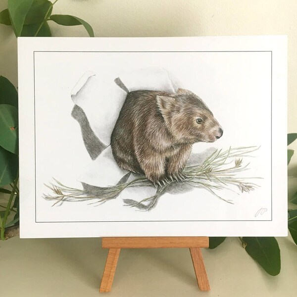 Wspólne Wombat-małe australijskie Wildlife Drukuj 5x7 obraz 6x8 inch rama, Bare-nosed wombat trompe l'oeil papier trawy zwierząt pazury