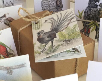 Tarjetas de regalo mini de Australian Bird: Juego de 12 tarjetas recicladas