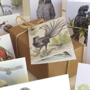 Mini Gift Cards - box set of 12 - Australian BIRDS - wildlife - recycled card - blank inside - parrot eagle cockatoo kookaburra penguin owl