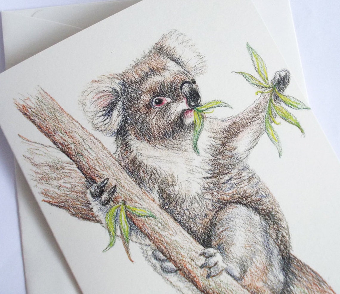 Koala Greeting Card. Australian Wildlife Art. Aussie Favourite - Etsy