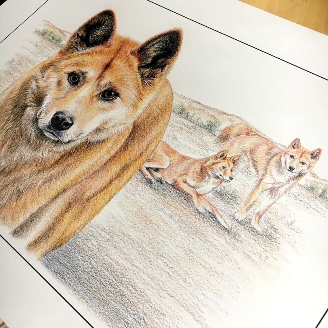 Dingo large Australian wildlife wall art print size A3 Etsy