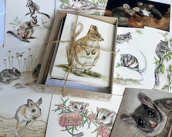 Tarjetas de felicitación con animales australianos (caja de 10): ilustraciones de wallabies, zarigüeyas, petauros y ratones.