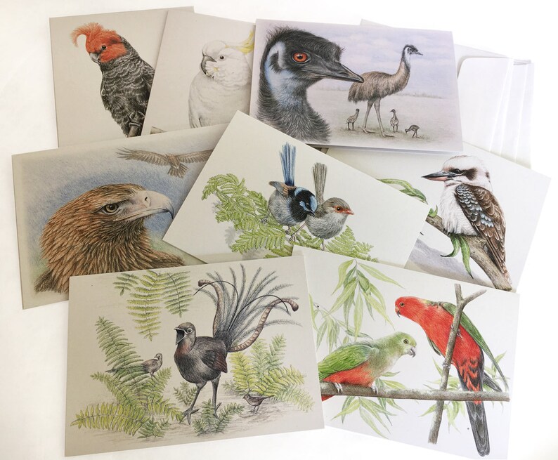Your Choice of 3 Greeting Cards of Australian Wildlife Art Etsy Australia