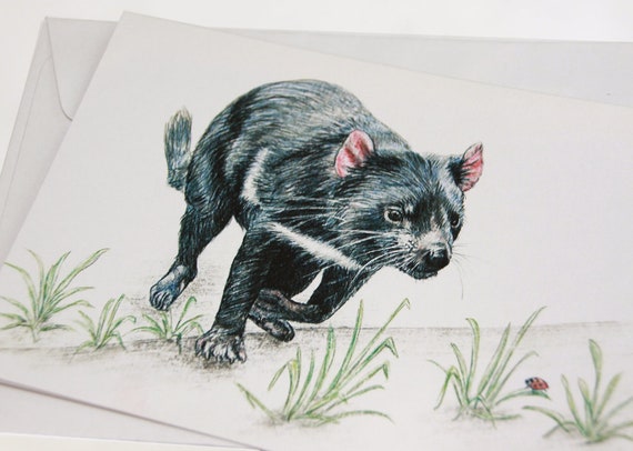 Blank Cards 2 x Tasmanian Devil cards Australian Wildlife art greeting