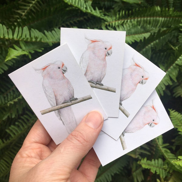 Mini Gift Cards - Major Mitchell's Cockatoo - pack of 4 individual cards - Australian wildlife - recycled card blank inside  -  pretty pink