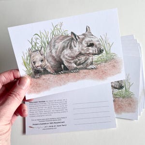 Postcards - Hairy-nosed Wombats - pack of 10 wombat postcards - recycled paper - Australian wildlife notecards - stock clearance