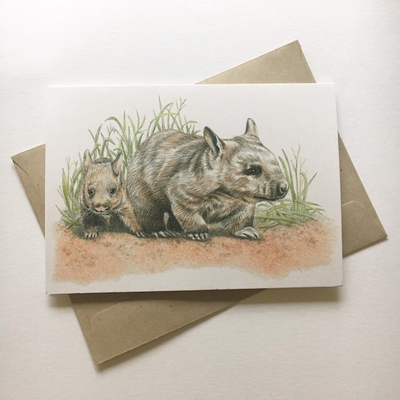 Baby Wombat Greeting Card Baby Wombat Greeting Card