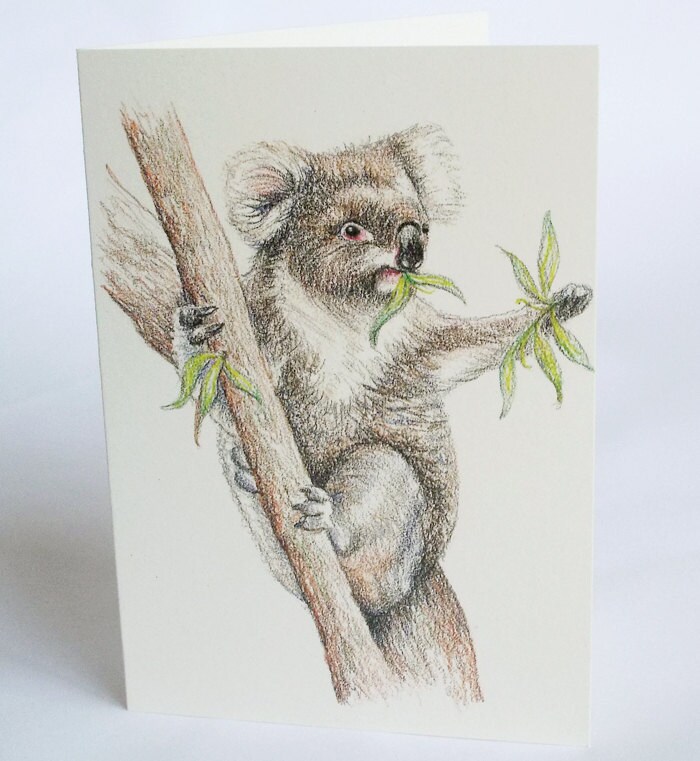 Koala Greeting Card. Australian Wildlife Art. Aussie Favourite - Etsy