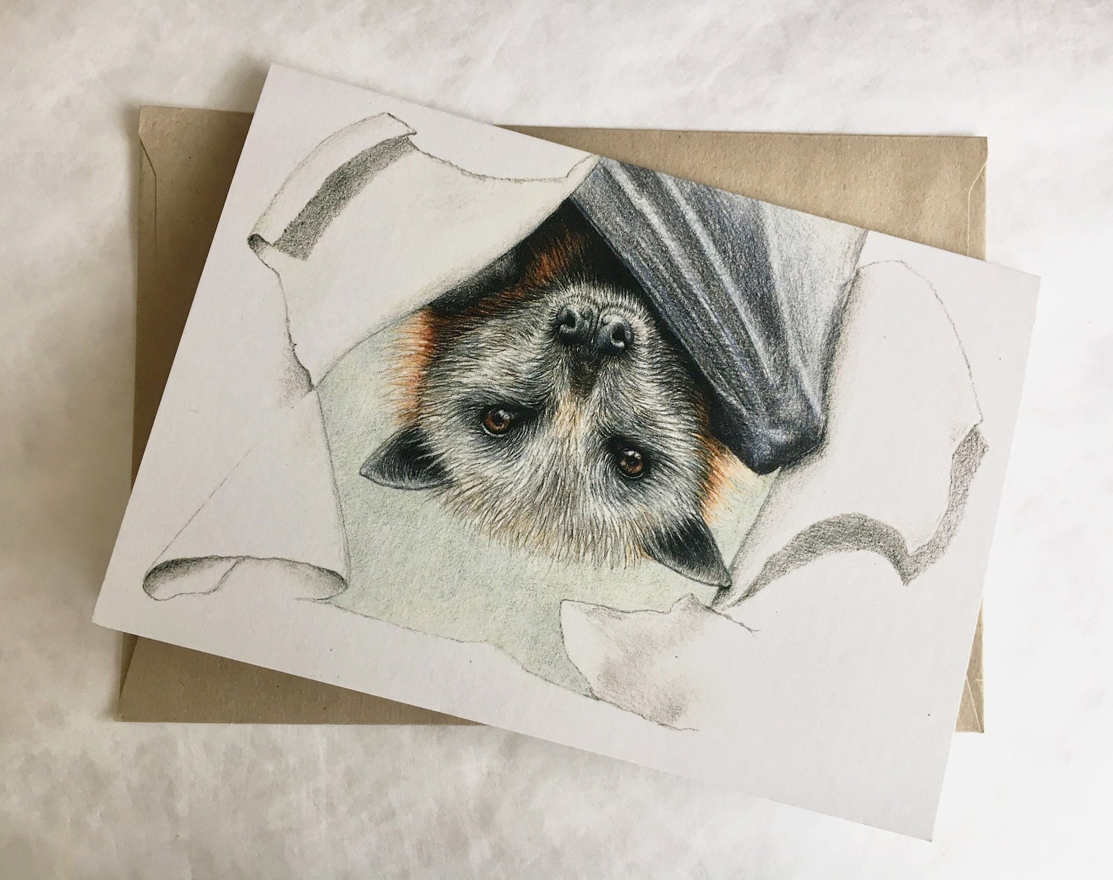 Flying Fox Art Card: Australian Wildlife Pencil Illustration - Etsy