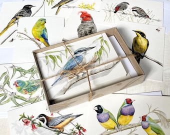 Tarjetas de aves australianas (caja de 10) – Ilustraciones a color de fauna silvestre, papel reciclado.