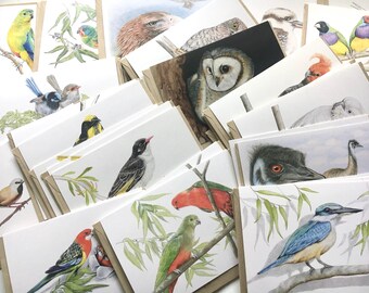 Tarjetas de felicitación con arte de aves australianas, lote de 40, retratos de la naturaleza