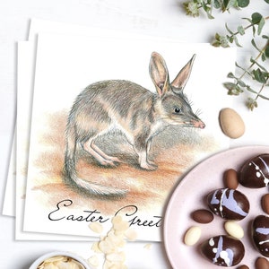 Paquete de 3 tarjetas de Pascua, con Bilby, tarjetas de regalo, alternativa australiana al conejito de Pascua, saludos de Pascua
