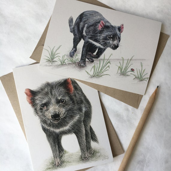Blank Cards 2 x Tasmanian Devil cards Australian Wildlife art greeting