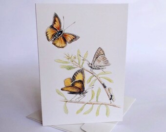 Tarjeta artística de mariposa de cobre de Eltham: Ilustración a lápiz de fauna australiana