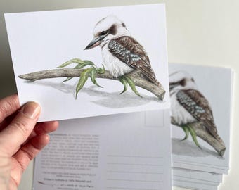 Postales de kookaburra (paquete de 10): Arte de la fauna australiana, papel reciclado.