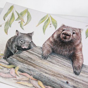 May include: A drawing of two wombats, one large and one small, sitting on a log. The larger wombat is brown and has a fluffy coat. The smaller wombat is black and has a smooth coat. Both wombats are looking at the viewer. The background is white with green leaves.