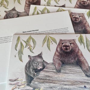 Wombat Art Greeting Card: Australian Wildlife, Mother and Joey, recycled paper, blank inside image 7