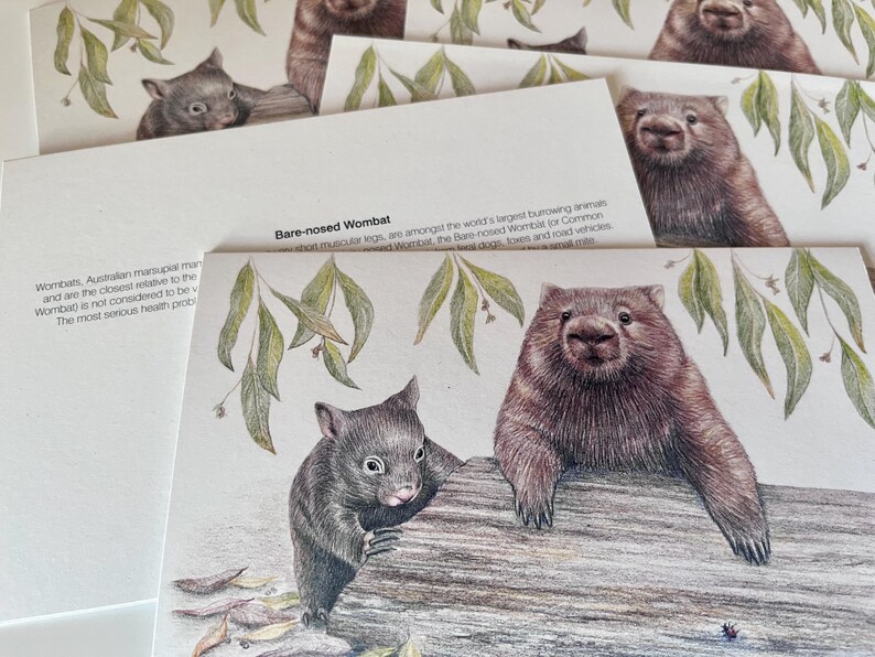 Wombat Art Greeting Card: Australian Wildlife, Mother and Joey, recycled paper, blank inside image 7