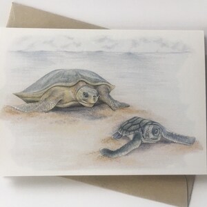 Tortues à dos plat - Carte de voeux d'art animalier australien Mère et bébé sur la plage, tortue en voie de disparition