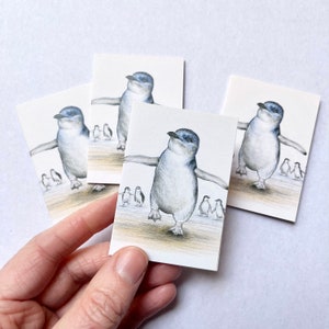 Mini Gift Cards - Little Penguin - pack of 4 individual cards - Australian wildlife - recycled card blank inside Fairy penguins