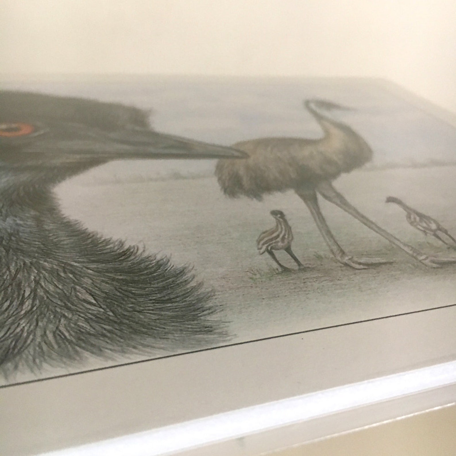 Emu Large Australian Wildlife Wall Art Print Size A3 Etsy