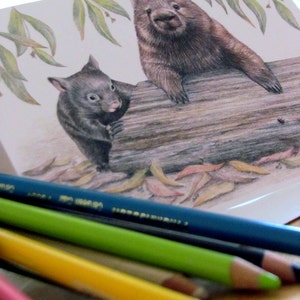 May include: A watercolor illustration of a wombat and a smaller marsupial sitting on a log. The wombat is brown and has a black nose. The smaller marsupial is black and has a white nose. The background is a white paper with green leaves.