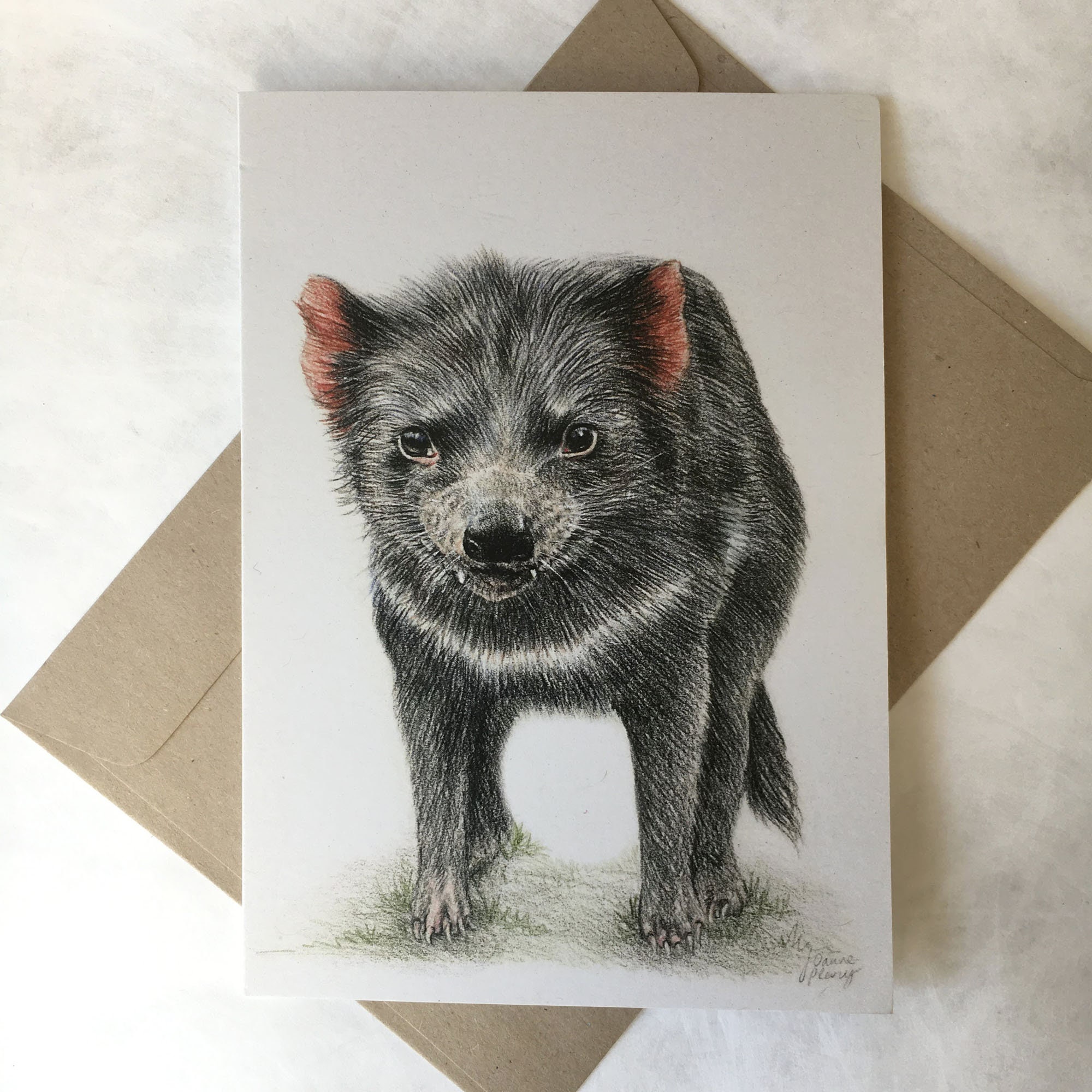 Blank Cards 2 x Tasmanian Devil cards Australian Wildlife art greeting