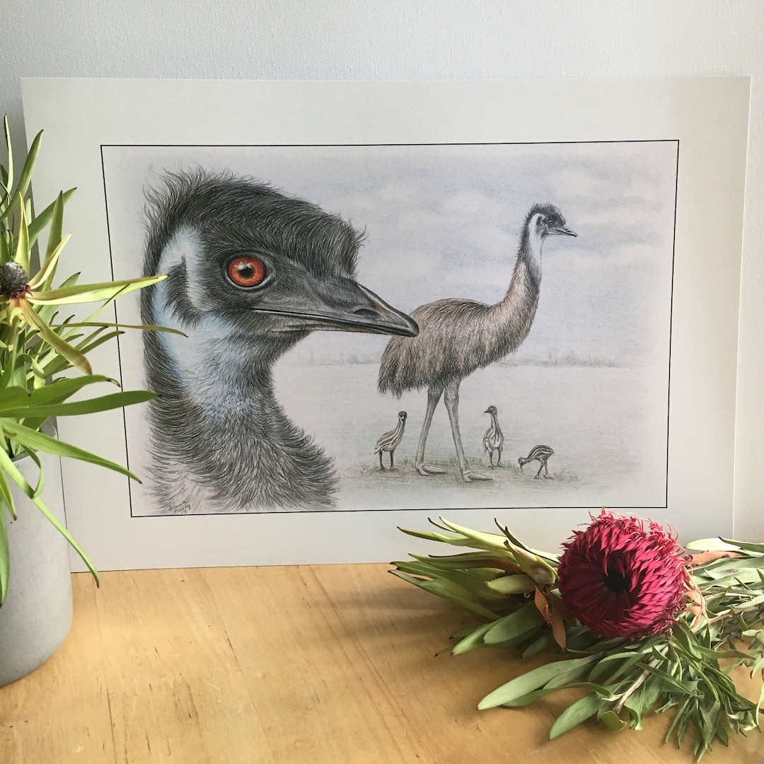 Emu Large Australian Wildlife Wall Art Print Size A3 420x297mm Tallest