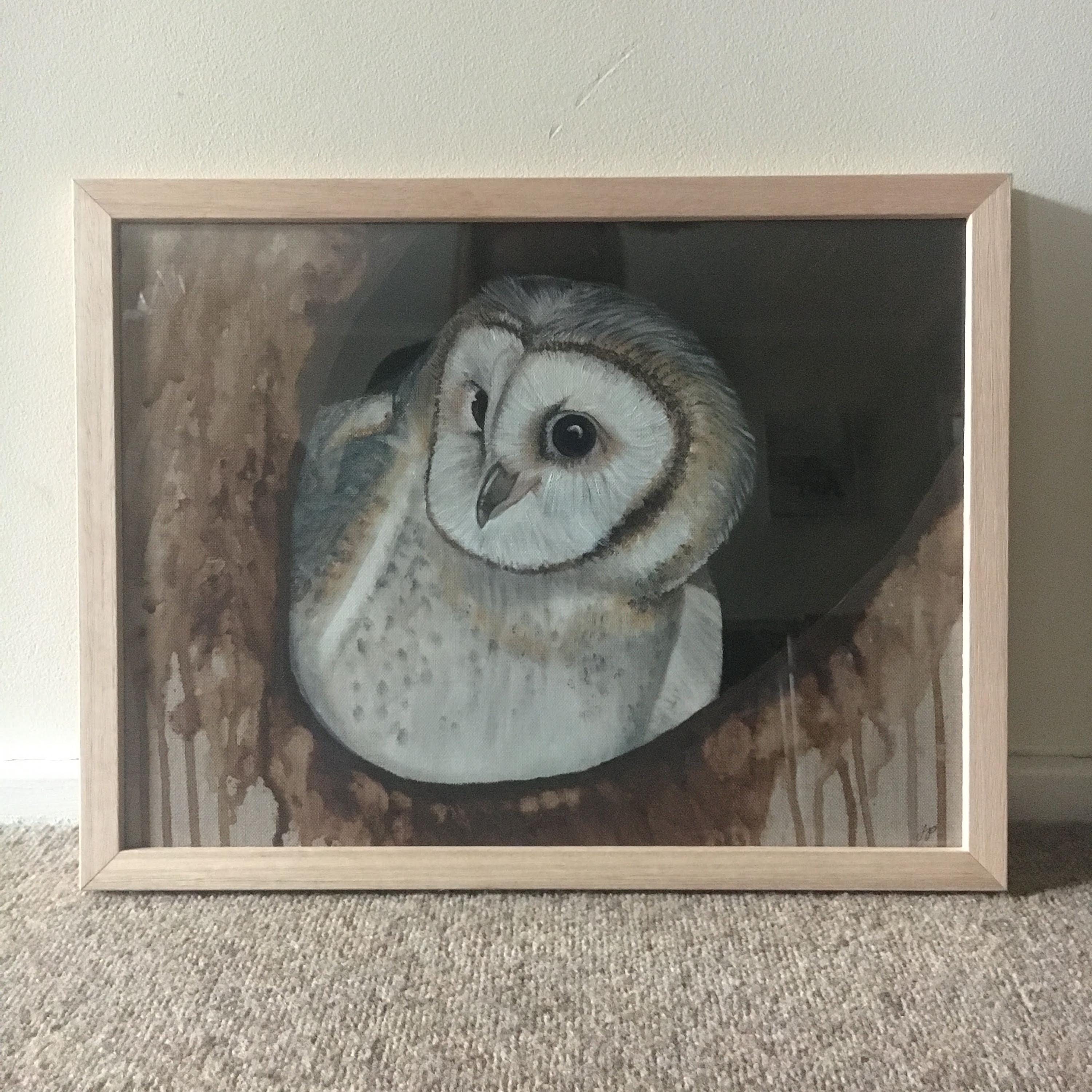 Masked Owl artwork - framed painting W 43cm x H 33cm - Acrylic on board - original art