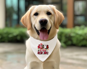 Bandana para perros Jesús es la razón: regalo navideño para mascotas