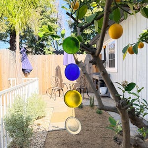 May include: A colorful outdoor wind chime with green, blue, yellow, and clear glass discs hanging in a backyard. The wind chime is suspended in front of a wooden fence and a tree with lemons.