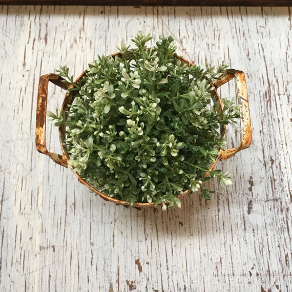 Small French Vintage Mussel Baskets