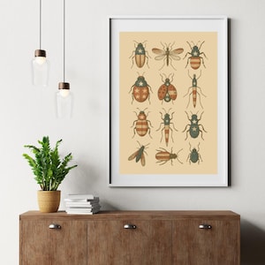 May include: A framed print featuring a collection of stylized insect illustrations. Each insect is depicted with a patriotic color scheme of red, white, and blue, incorporating stars and stripes. The artwork is displayed on a light beige background.
