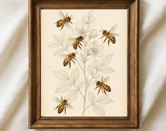 Ilustración vintage de abejas, decoración botánica de insectos, impresión de entomología antigua, póster retro de abejorros, arte mural de abejas