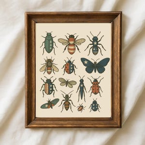 Może przedstawiać: Oprawiony wydruk przedstawiający kolekcję stylizowanych owadów, w tym chrząszcze i motyle. Każdy owad jest ozdobiony patriotycznymi wzorami w kolorach czerwonym, białym i niebieskim, gwiazdami i paskami. Grafika jest na kremowym tle.