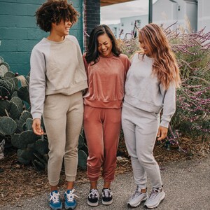 Velvet Cropped Raglan Sweatshirt / Short Sweater / Pink Mauve / Plum Purple / Olive Green / Blue Steel / Jet Black / Soft / Winter Fashion image 3