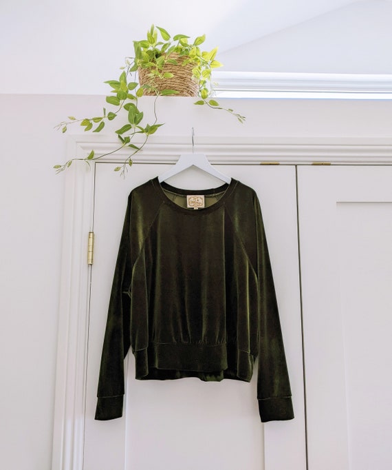 Velvet Cropped Raglan Sweatshirt / More Colors!