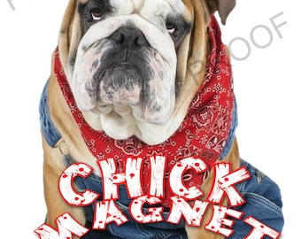 show original title magnetic marker slate b6a Details about   Bulldog english bulldog magnet dog magnet 