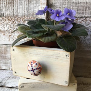 May include: A wooden planter box with a cream-colored finish, featuring a decorative knob with orange and blue accents. The box holds a potted African violet plant with vibrant purple flowers and green leaves. The box is approximately 6 inches wide.