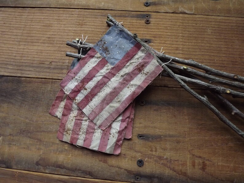 May include: A weathered American flag made of fabric, with red and white stripes and blue stars, is tied to a bundle of twigs.